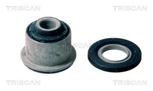 Mounting, control/trailing arm TRISCAN 850038803