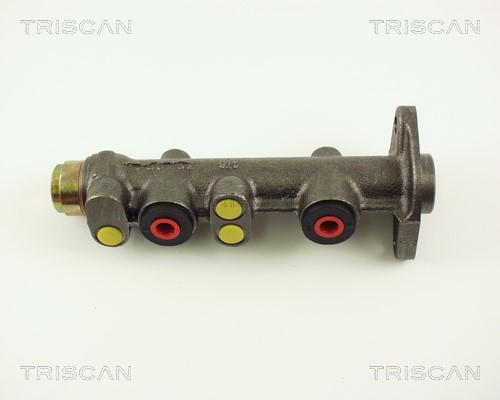 Brake Master Cylinder TRISCAN 813015111