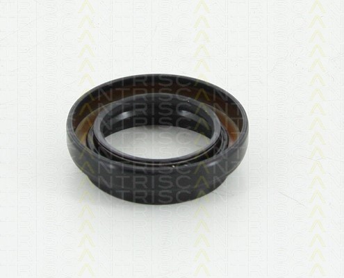 Shaft Seal, differential TRISCAN 855010038