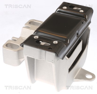 Mounting, engine TRISCAN 850529152 2