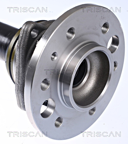 Wheel Bearing Kit TRISCAN 853023234 2