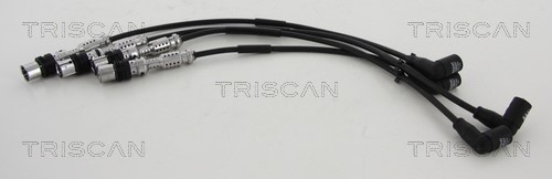 Ignition Cable Kit TRISCAN 886029031