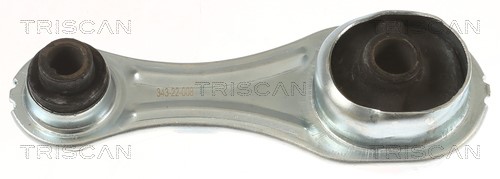 Mounting, engine TRISCAN 850525126
