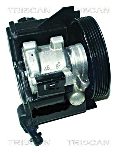 Hydraulic Pump, steering system TRISCAN 851538608