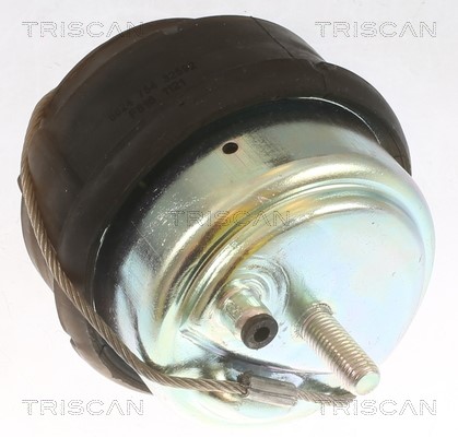 Mounting, engine TRISCAN 850527102 2