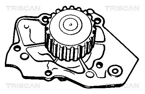 Water Pump, engine cooling TRISCAN 860010409 2