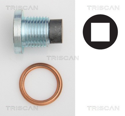 Screw Plug, oil sump TRISCAN 95002801