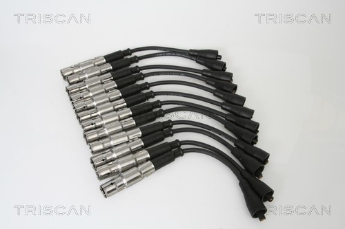 Ignition Cable Kit TRISCAN 886023006