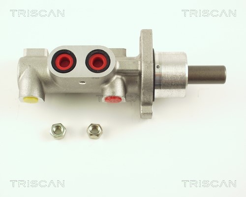 Brake Master Cylinder TRISCAN 813028123