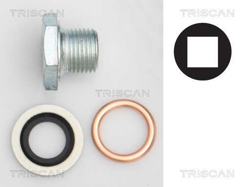 Screw Plug, oil sump TRISCAN 95001006