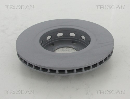 Brake Disc TRISCAN 8120291051C 2
