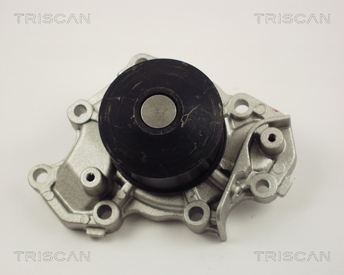 Water Pump, engine cooling TRISCAN 860042013