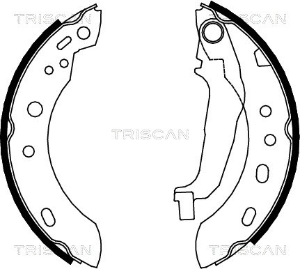 Brake Shoe Set TRISCAN 810014001