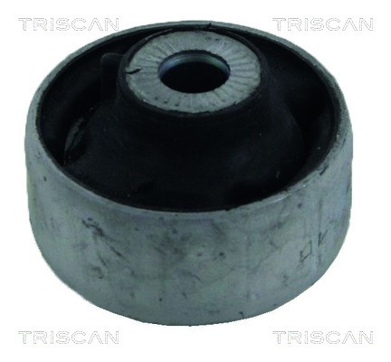Mounting, control/trailing arm TRISCAN 8500298008