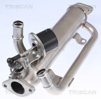 Cooler, exhaust gas recirculation TRISCAN 881329320 2