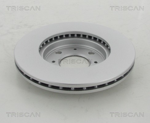 Brake Disc TRISCAN 812040144C 2