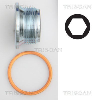 Screw Plug, oil sump TRISCAN 95002301