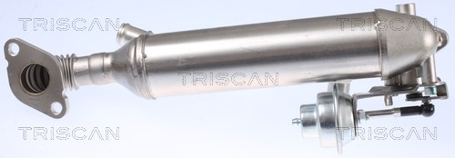 Cooler, exhaust gas recirculation TRISCAN 881329326 5