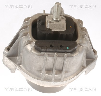 Mounting, engine TRISCAN 850511111