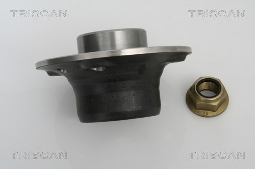 Wheel Bearing Kit TRISCAN 853025250 2