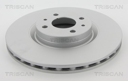 Brake Disc TRISCAN 812010131C