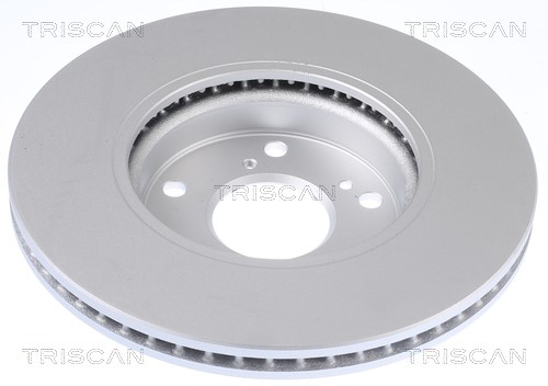 Brake Disc TRISCAN 812040175C 2