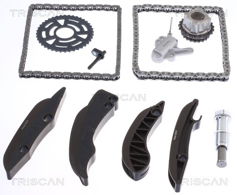 Timing Chain Kit TRISCAN 865011011