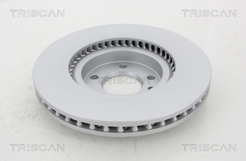 Brake Disc TRISCAN 812029195C 2