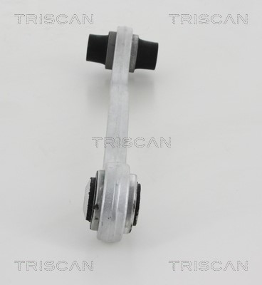 Control/Trailing Arm, wheel suspension TRISCAN 850023563 2