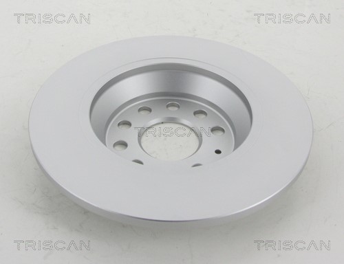 Brake Disc TRISCAN 8120291066C 2