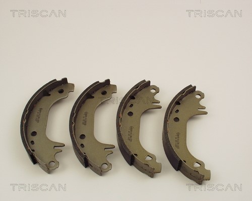 Brake Shoe Set TRISCAN 810010407