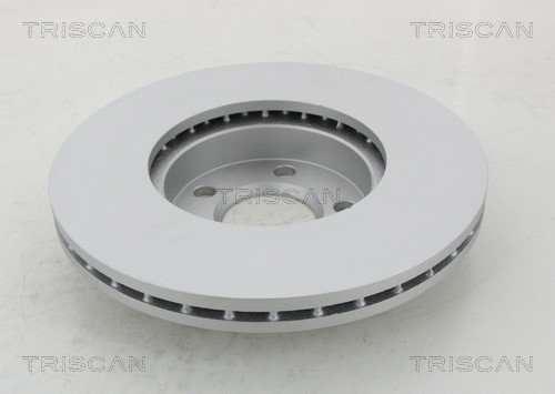 Brake Disc TRISCAN 812010172C 2