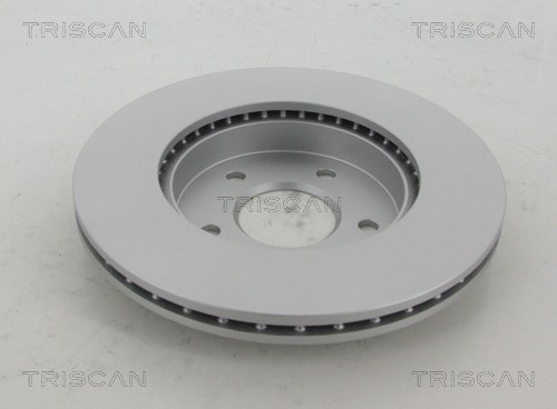 Brake Disc TRISCAN 812023119C 2