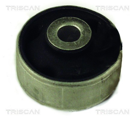 Mounting, control/trailing arm TRISCAN 850029847