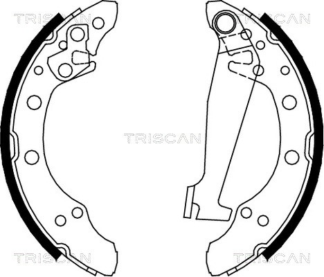 Brake Shoe Set TRISCAN 810010520