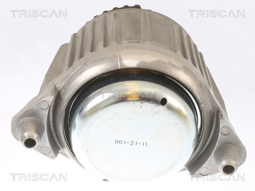 Mounting, engine TRISCAN 850523101 2