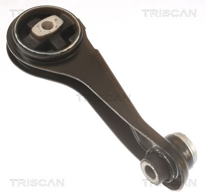 Mounting, engine TRISCAN 850525125