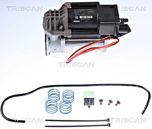 Compressor, compressed air system TRISCAN 872511101 2