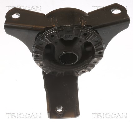 Mounting, engine TRISCAN 850542100 3