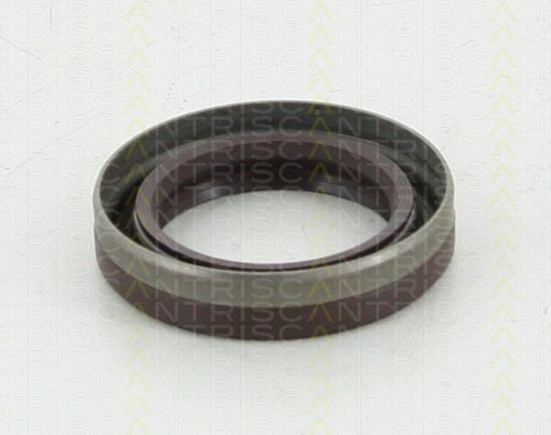 Shaft Seal, differential TRISCAN 855010026