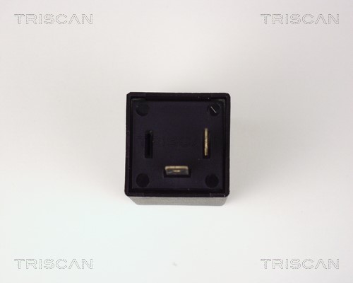 Flasher Unit TRISCAN 1010EP20 3