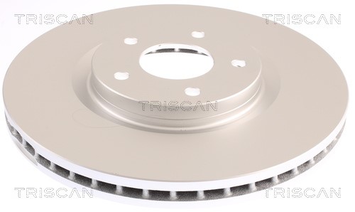 Brake Disc TRISCAN 812025153C