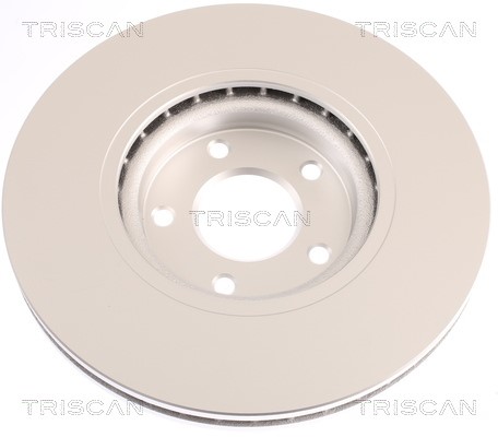 Brake Disc TRISCAN 812025153C 2
