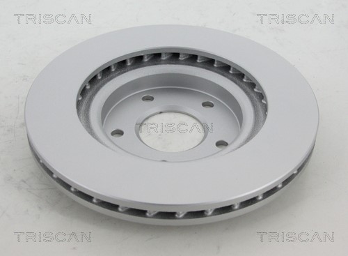 Brake Disc TRISCAN 812042152C 2