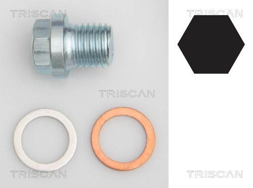Screw Plug, oil sump TRISCAN 95001011