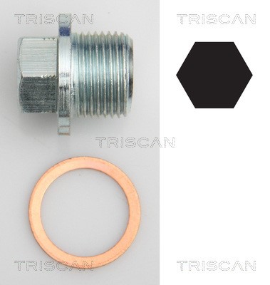 Screw Plug, oil sump TRISCAN 95001022
