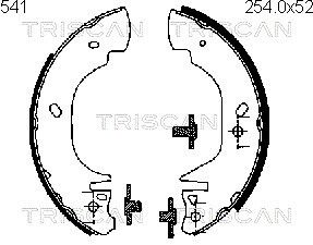 Brake Shoe Set TRISCAN 810016541