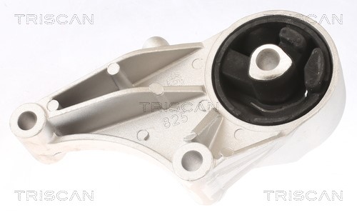 Mounting, engine TRISCAN 850524101