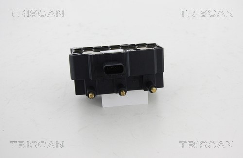 Ignition Coil TRISCAN 886080005 2