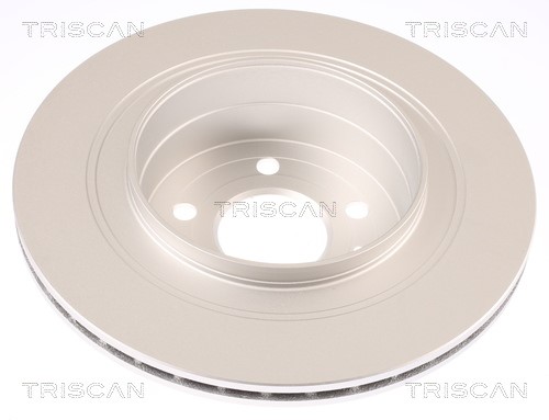 Brake Disc TRISCAN 812065113C 2